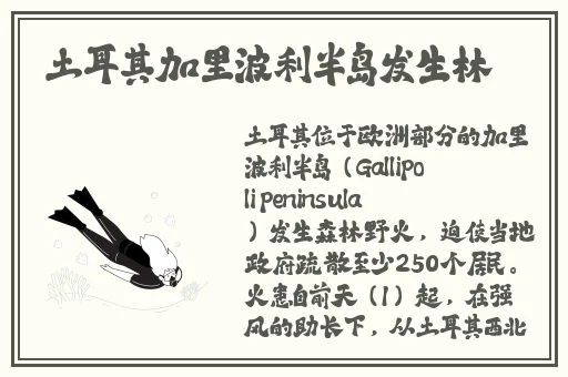 好色先生app丝瓜无限